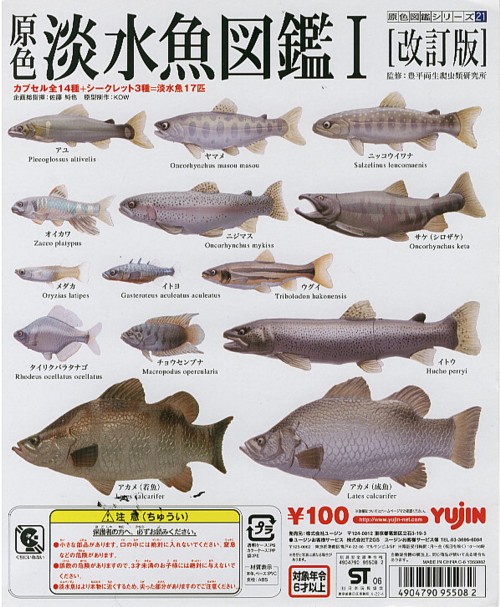 Yujin Kaiyodo Japanese Exclusive Freshwater Fish 1 PALE CHUB B Figure NEW 